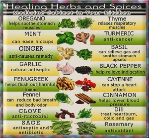 herbs2