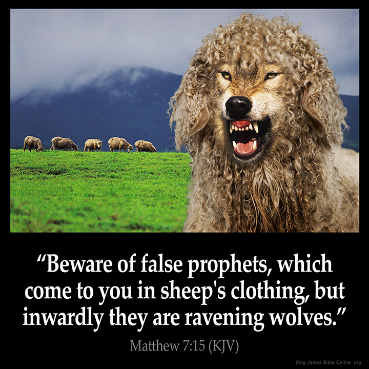 Wolves Dressed in Sheep’s&nbsp;Clothing