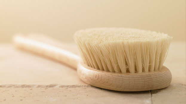 Dry Brush Your Pain and Toxins&nbsp;Away