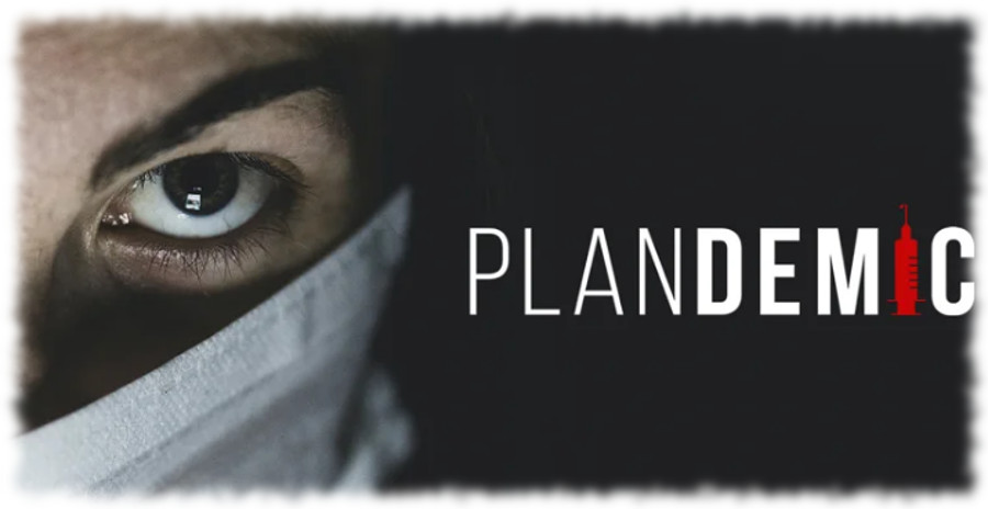 Reason for Pandemic Summarized — Presents of God ministry&nbsp;BLOG